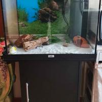 Acquario Juwel 120 lt + mobile