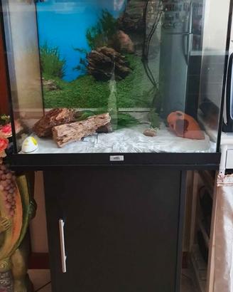 Acquario Juwel 120 lt + mobile