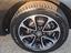 Immagine 13