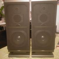 Coppia casse Dynamic Speaker 8Ohm