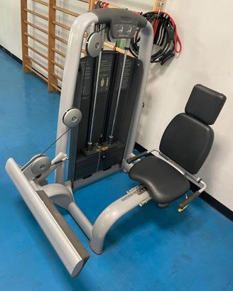 TECHNOGYM ROTARY CALF SELECTION LINE
