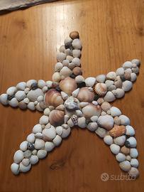 Stella Marina - Conchiglie