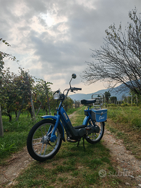 Piaggio Ciao Px 82
