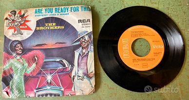 Disco 45 giri The Brothers