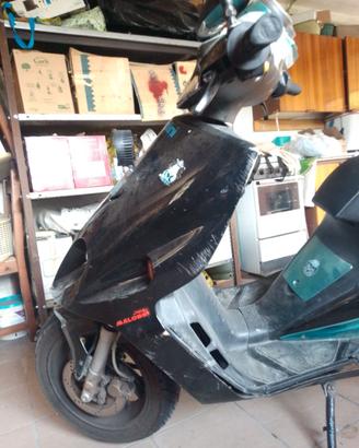 Scooter Phantom 50 F12