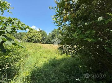 TER. RESIDENZIALE A COAZZE