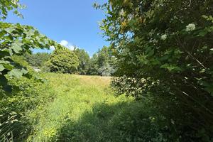 TER. RESIDENZIALE A COAZZE