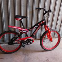 bicicletta 