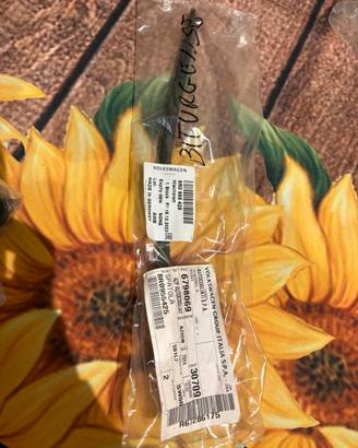 Tergicristallo Posteriore Originale Audi Q5 8R