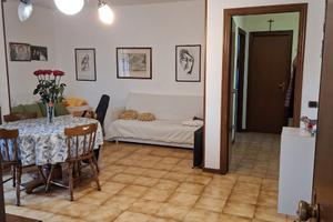 Privato vende a Busseto via Bartok 137.000