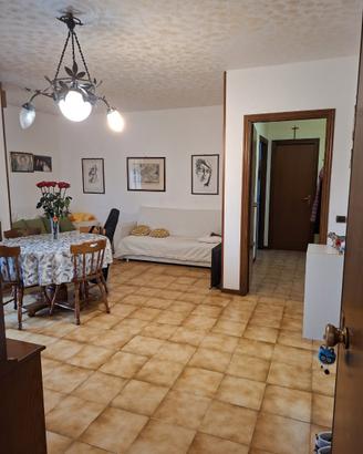 Privato vende a Busseto via Bartok 137.000