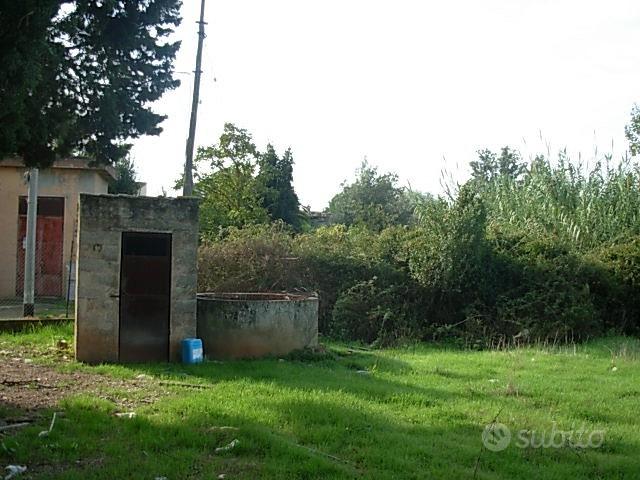 Terreno edificabile mq. 2900 - Vista 5