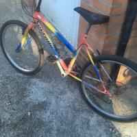 Bici bimba 24 pollici