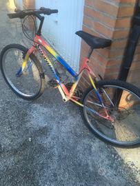 Bici bimba 24 pollici