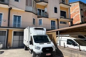Ford Transit 2.0 TDCI 130cv FRIGO FRCX -20 GRADI