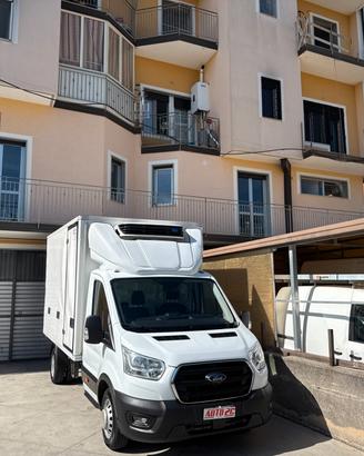 Ford Transit 2.0 TDCI 130cv FRIGO FRCX -20 GRADI