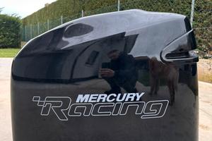 Calandra Mercury optimax 225 250