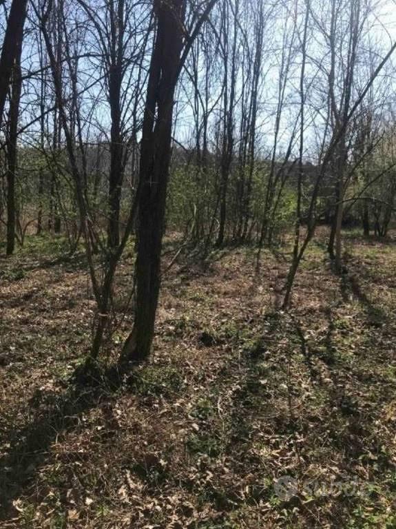 Immobile in asta di 18050 m² a Poggibonsi - Vista 3
