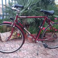 Bicicletta citybike Bianchi Flumen