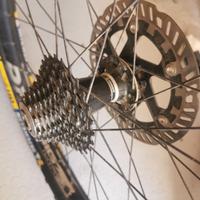 MTB articoli