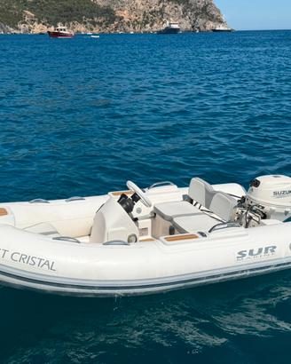 Tender SUR Marine ST290  Motore Suzuki 20CV (2020)