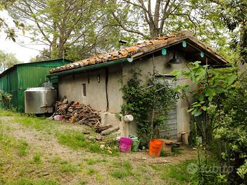 Capanne con terreno agricolo