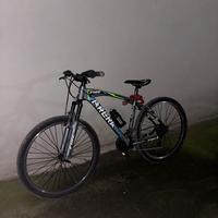 Bicicletta Brera Fire 24”