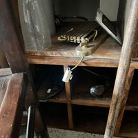 Cubi per la casa