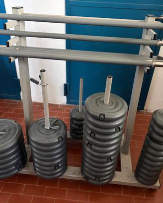 lotto professionale Bcube / 3B Fitness Systems per
