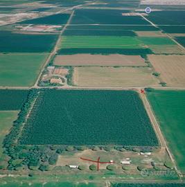 Terreno agricolo a Montecchiari
