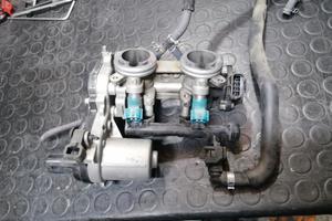farfallato originale tmax 560