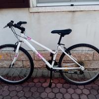 Bicicletta MTB