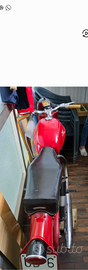 Moto Guzzi Stornello 1961 - 7 cv