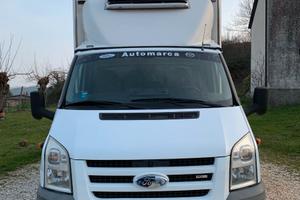 Ford transit 350L con cella frigorifera