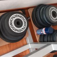 dischi technogym silver