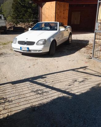 slk 192cv