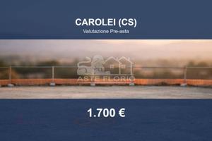 Immobile in asta di 95 m² a Carolei