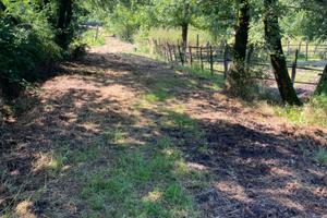 Centro di allenamento cavalli