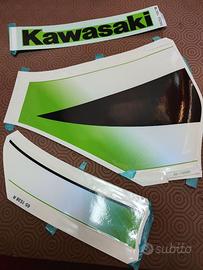 Adesivi Kawasaki serbatoio e carena