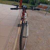 mountain bike