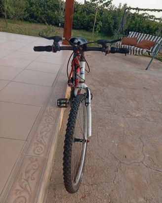 mountain bike
