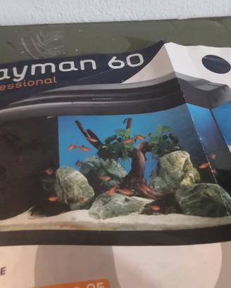 acquario cayman 60
