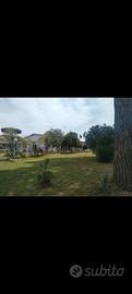 Appartamentino a terracina