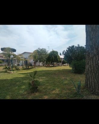 Appartamentino a terracina