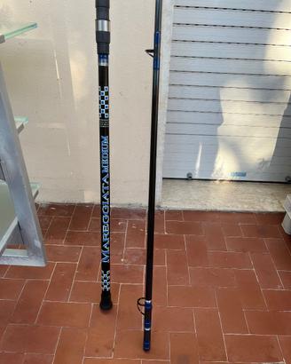 Canne e attrezzatura Surfcasting