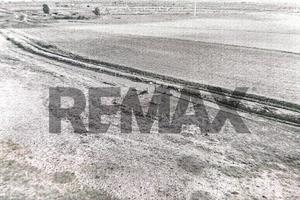 Terreno - Catania
