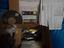 Immagine 2