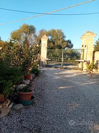 casa singola 