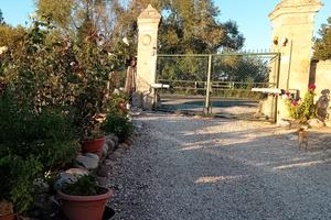 casa singola 