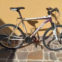 bicicletta ben tenuta 